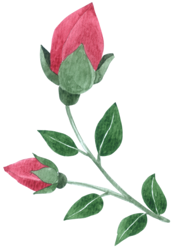 Gallery decorative shape 2